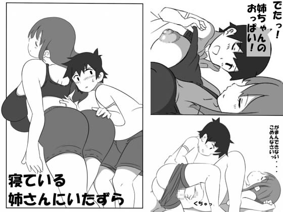 【エロ同人】寝ている姉さんにいたずらのトップ画像