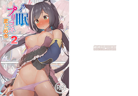 【エロ同人】サイ眠プリコネまとめ本2のトップ画像