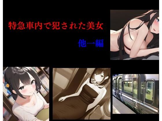 【エロ同人】特急車内で犯●れた美女 他一編のトップ画像