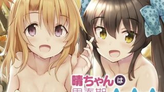 【エロ同人】晴ちゃんは思春期総集編1のトップ画像