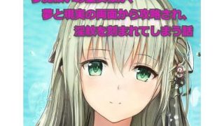 【エロ同人】夢魔祓いの聖女様が、夢と現実の両面から攻略され、淫紋を刻まれてしまう話のトップ画像