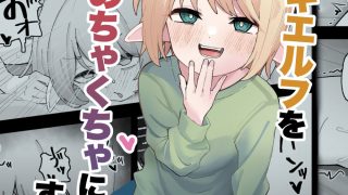 【エロ同人】メ○○キエルフをめちゃくちゃにする話のトップ画像