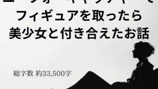 【エロ同人】ユーフォーキャッチャーでフィギュアを取ったら美少女と付き合えたお話のトップ画像