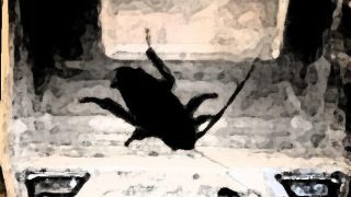 【エロ同人】私の蟲姦遊び 26話 妊娠中に息子の部屋にいたゴキブリと卵編のトップ画像