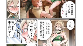 【エロ同人】盗賊、エルフを盗むのトップ画像
