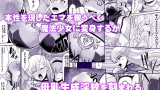 【エロ同人】魔法少女セイントリリィ・汚染 〜妖魔に身体を乗っ取られた親友が異形化して魔…のトップ画像