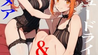 【エロ同人】スクリュードライバー&ナイトメアのトップ画像
