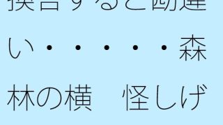 【エロ同人】換言すると勘違い・・・・・森林の横 怪しげな魔法使いには騙されぬようのトップ画像