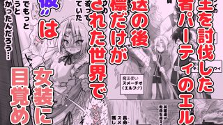 【エロ同人】1000年以上生きたエルフ（♂）が女装に目覚めるのトップ画像