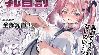 【エロ同人】乳首罰のトップ画像