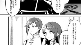 【エロ同人】紅蒼双影のトップ画像
