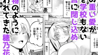 【エロ同人】箱入り娘穢れるのトップ画像