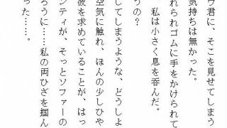 【エロ同人】処刑寸前の私を救ったのは、幼き日より執着した殲滅帝陛下でした。〜快楽に喘ぐ…のトップ画像