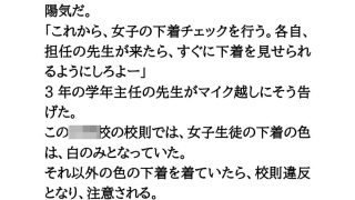 【エロ同人】下着の色検査で違反者はブラ・パンティ没収、強●脱衣。乳首透け透けプール掃除…のトップ画像
