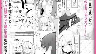 【エロ同人】TSお兄ちゃん〜フタナリ妹とのエッチ禁止を誓ったのに我慢できずに襲いにくる…のトップ画像