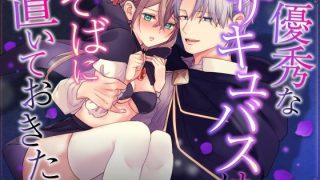 【エロ同人】優秀なサキュバスはそばに置いておきたいのトップ画像