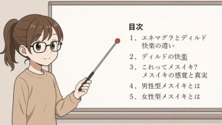 【エロ同人】エネマグラ・ディルドによる 本当に正しい前立腺の開発方法 最速・最短距離で…のトップ画像