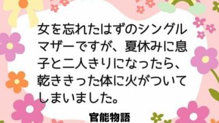 【エロ同人】女を忘れたはずのシングルマザーですが、夏休みに息子と二人きりになったら、乾…のトップ画像