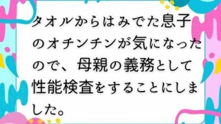 【エロ同人】タオルからはみでた息子のオチンチンが気になったので、母親の義務として性能検…のトップ画像