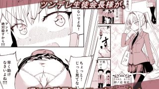【エロ同人】セックスしないと抜け出せない壁にハマってしまったデカ尻生徒会長のトップ画像