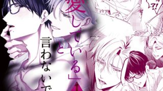 【エロ同人】「愛している」と言わないでのトップ画像