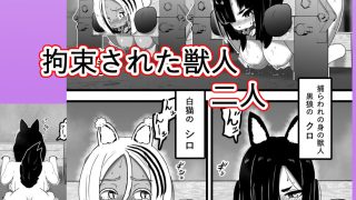 【エロ同人】ヴァンパレイド8・5 〜白猫 黒狼 調教編〜のトップ画像