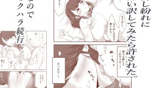 【エロ同人】ナニしても許してくれるから欲望のまま最高に気持ち良く筆下ろしセックスキメち…のトップ画像