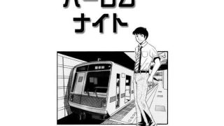 【エロ同人】ハーレムナイトのトップ画像
