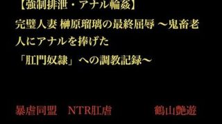 【エロ同人】【強●排泄・アナル輪●】 完璧人妻 榊原瑠璃の最終屈辱 〜鬼畜老人にアナル…のトップ画像