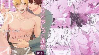 【エロ同人】性の歪みのトップ画像