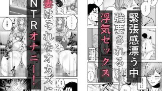 【エロ同人】極太しっぽがコンプレックスのサキュバス2（前編）のトップ画像