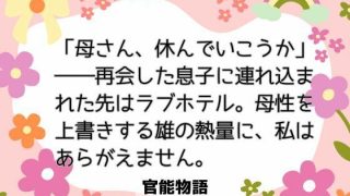 【エロ同人】「母さん、休んでいこうか」――再会した息子に連れ込まれた先はラブホテル。母…のトップ画像