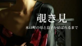 【エロ同人】覗き見〜水口町の母と息子が結ばれるまで〜のトップ画像