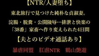 【エロ同人】【NTR/人妻堕ち】東北旅行で見つけた純朴な貞淑妻。浣腸・脱糞・公開陵●……のトップ画像