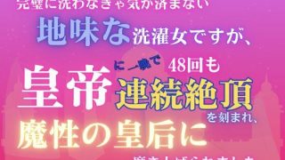 【エロ同人】完璧に洗わなきゃ気が済まない地味な洗濯女ですが、皇帝に一晩で48回も連続絶…のトップ画像