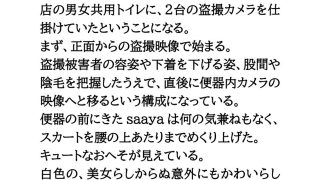 【エロ同人】【身近に潜む現代の闇】実際に起こった盗撮事件簿（2）。美人バイオリニスト、…のトップ画像