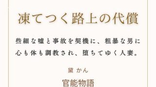 【エロ同人】凍てつく路上の代償のトップ画像