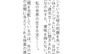 【エロ同人】ハイスペ義兄の密室絶頂管理。クリトリス玩具を挿し込まれたままの私は、自宅突…のトップ画像