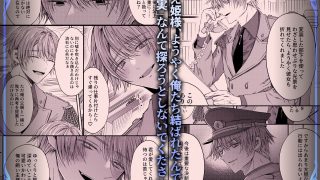 【エロ同人】姫様に忠誠を誓ったはずの軍人は、逆に誓いを求める狂犬になりましたのトップ画像
