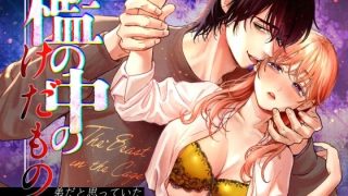 【エロ同人】檻の中のけだもの〜弟だと思っていた年下男子に抱き潰された夜〜のトップ画像