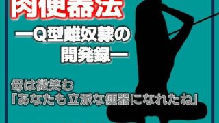 【エロ同人】肉便器法 —Q型雌奴●の開発録—のトップ画像